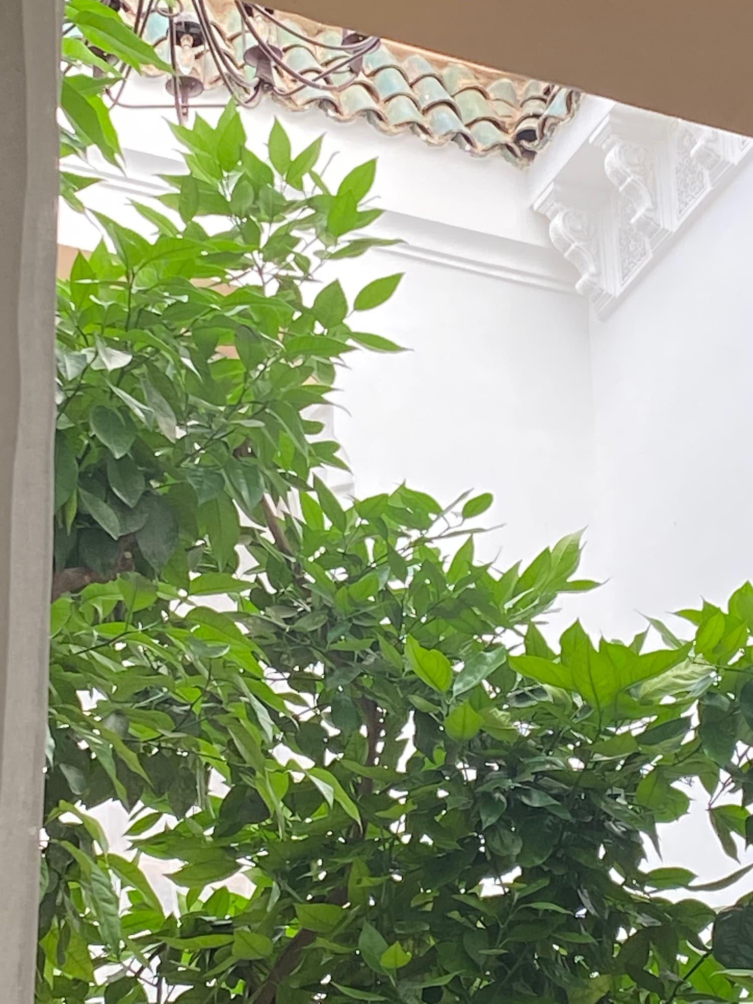 Riad Les Orangers D'Alilia Marakéš Exteriér fotografie