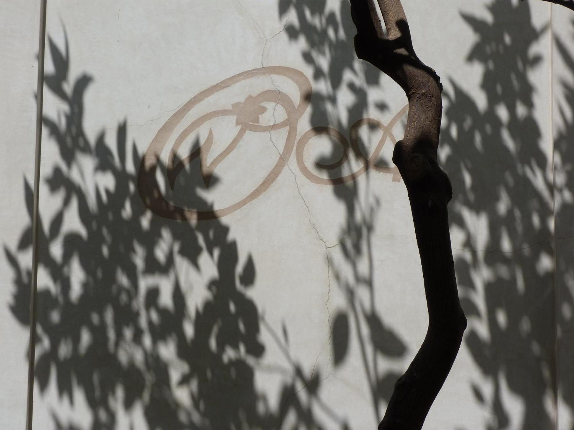 Riad Les Orangers D'Alilia Marakéš Exteriér fotografie