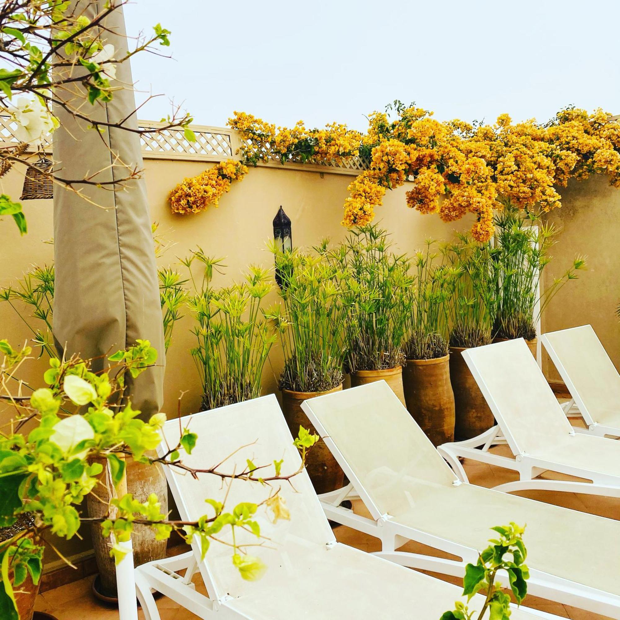 Riad Les Orangers D'Alilia Marakéš Exteriér fotografie