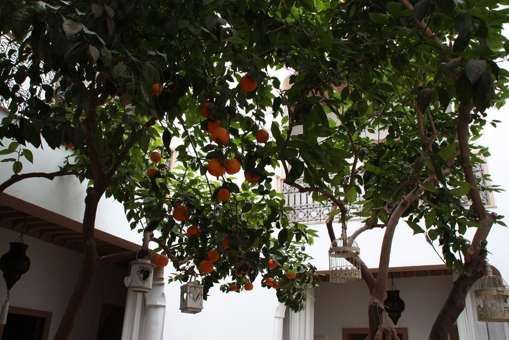 Riad Les Orangers D'Alilia Marakéš Exteriér fotografie