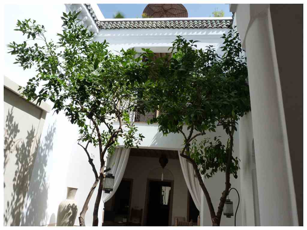 Riad Les Orangers D'Alilia Marakéš Exteriér fotografie