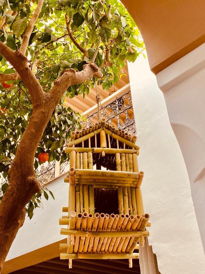 Riad Les Orangers D'Alilia Marakéš Exteriér fotografie